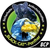 Anti-slip mat rolled goods 0,20x8m BLACK CAT Panther