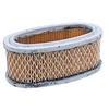 B&S Air Filter Oval 7 - 8 Hp Vertical Shaft 8R02-05