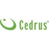 CEDRUS FR01 TUBE REMOVAL MILLING MACHINE TREE TOWER 15 KM - EWIMAX - OFFICIAL DISTRIBUTOR - AUTHORIZED CEDRUS DEALER