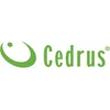 CEDRUS MIX 0.1L 100ML 2-SUW МОТОРНО МАСЛО ЗА БЕНЗИН ГОРИВО MIX за двутактови двигатели Kos Триони Духалки Тримери Ножици Ножици Ножици Пръскачки и др. за двутактови двигатели