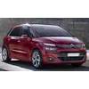 Citroen C4 Picasso - Strisce cromate Griglia paraurti finto cromato Tuning