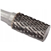 CYLINDRISK TULGSTEN RASP 6X16X56/6MM OCH