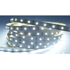 Ecolite DX-60SMD-6000/25M LED strip 12W/m indoor cool white 12V