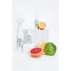 ERG CleanSkin FUN, Flüssigkeit zur Desinfektion von Händen und Oberflächen mit dem Duft von Tutti Frutti, 5L