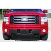 Ford F-150 — Chrome Strips Grill Chrome Dummy Bufer Tuning