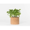 Grow Cork Pot Variant: Arugula