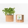 Grow Cork Pot Variant: Arugula