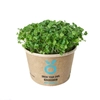 Grow Kit - a set for growing microgreens