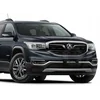 Holden Acadia - Chrome Strips Grill Chrome Dummy Bufer Tuning