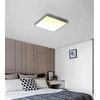 LEDsviti Gray dizaino LED skydelis 400x400mm 24W šiltai baltas (9807)