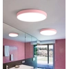 LEDsviti Painel de LED com design rosa 400mm 24W dia branco (9778)