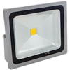 LEDsviti Silber RGB LED Strahler 50W mit IR-Fernbedienung (2541)