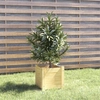 Lumarko Garden box for flowers, 31x31x31 cm, solid pine wood!