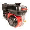 Motor WM170F CEDRUS rorkult GL11 T010330046