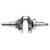 Motore Rato albero motore R440 13300-Z191310-RBTM