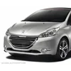 Peugeot 208 - Strisce cromate Regolazione paraurti fittizio griglia cromata