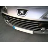 PEUGEOT 307 Lift CHROME GRILL λωρίδες, εικονική ρύθμιση