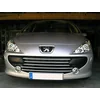 PEUGEOT 307 Lift CHROME GRILL λωρίδες, εικονική ρύθμιση