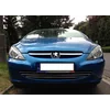 PEUGEOT 307 SW HB CHROME GRINTŲ JUOSTA Chromuota