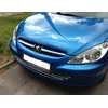 PEUGEOT 307 SW HB CHROME GRINTŲ JUOSTA Chromuota