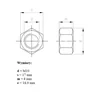 Porca M10 DIN 934 INOX