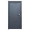 Porte extérieure métallique Tracia Tissia, gauche, gris anthracite RAL 7016,205x88 cm