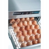 Professional Egg and Knife Sterilizer with Stalgast Certificate 690552