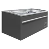 Professional Glass Chest Freezer 621L 2100x850x870mm