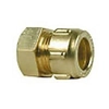 Rechte connector, STANDAARD 22 X 1/2 CONEx