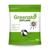 Sausumam izturīga zāle Greenato Dryland 1kg