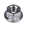 Serrated flange nut M10 DIN 6923 INOX