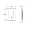 Skate Cosmopolitan S brushed hard graphite flush plate for small inspection chimneys