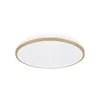 SMD LED ceiling lamp LINUS LED C 12W NW