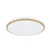 SMD LED ceiling lamp LINUS LED C 18W NW