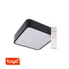 T-LED SMART Tuya Lampada LED RENDO 36W CCT angolare nero Variante: SMART Tuya Lampada LED RENDO 36W CCT angolare nero, Light_Color: CCT