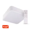 T-LED SMART Tuya λαμπτήρας LED RENDO 48W CCT γωνιακό λευκό Παραλλαγή: SMART Tuya λαμπτήρας LED RENDO 48W CCT γωνιακό λευκό, Light_Color: CCT