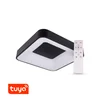 T-LED SMART Tuya LED lempa ZULU 48W CCT kampinė juoda Variantas: SMART Tuya LED lempa ZULU 48W CCT kampinė juoda