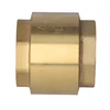 TIGER brass check valve 2 inches with spring - high quality component