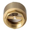 TIGER brass check valve 2 inches with spring - high quality component