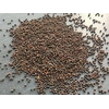 tvojefarma Red kohlrabi - microgreens seeds Quantity: 50g