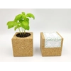 tvojefarma.cz Grow Cube Variant: Basil